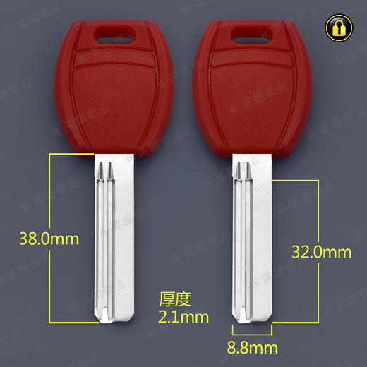 〖4033〗大柄红胶百利 商品图0