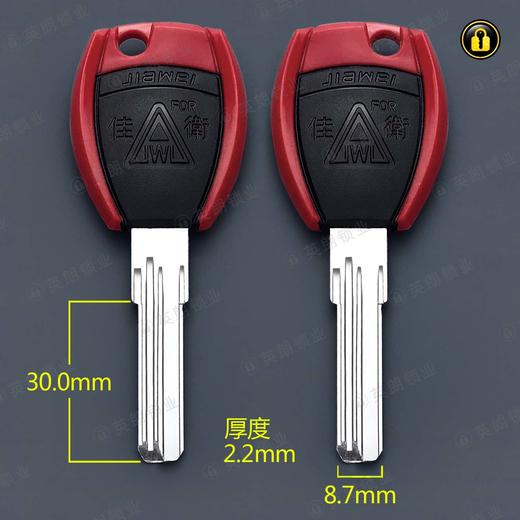 〖4070〗双排曲线嘉卫 商品图0