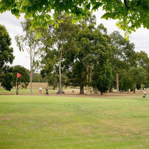 汉密尔顿高尔夫俱乐部 Hamilton Golf Club | 汉密尔顿高尔夫球场 | 新西兰高尔夫球场俱乐部 | 北岛 商品图1