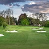 海伍德高尔夫俱乐部 Harewood Golf Club I 新西兰高尔夫 商品缩略图3