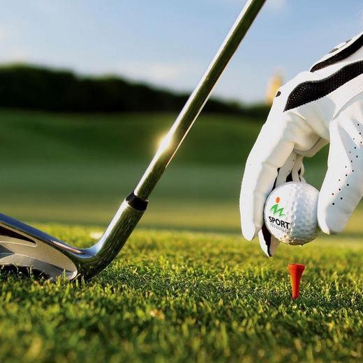 马纳瓦图高尔夫俱乐部 Manawatu Golf Club | 北帕默斯顿高尔夫球场 | 新西兰高尔夫球场俱乐部 | 北岛 商品图2