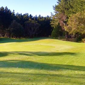 马顿高尔夫俱乐部 Marton Golf Club | 新西兰高尔夫球场 俱乐部 NZ | 新西兰北岛高尔夫
