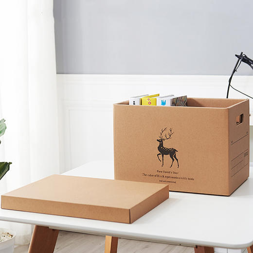 纸质收纳箱带盖子书本杂物整理箱衣服玩具化妆品收纳整理盒储物箱 商品图0