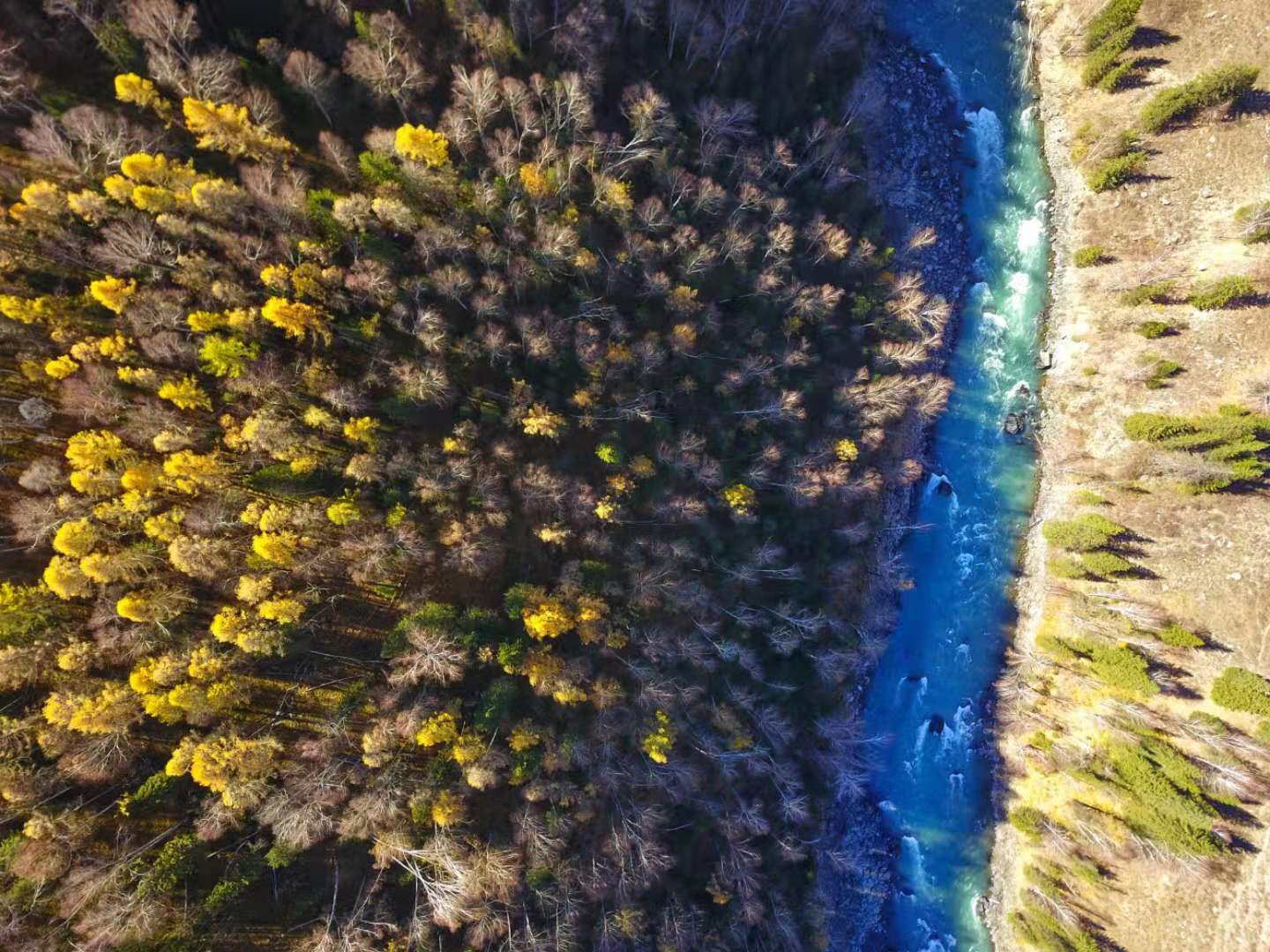 中国最美的秋色-新疆阿尔泰山徒步（喀纳斯）