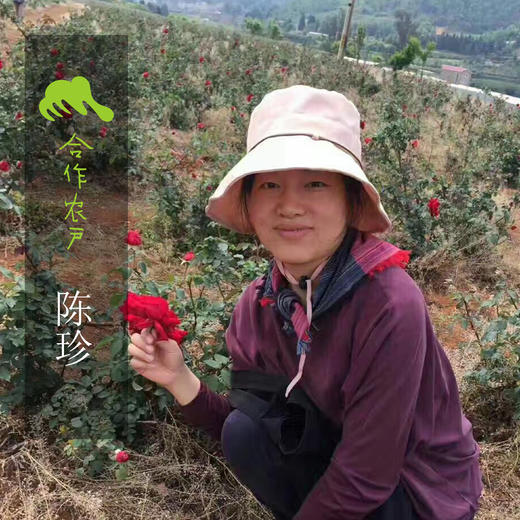 生态鲜花饼| 公平贸易*Eco-Flowers cakes | Fair trade 商品图1