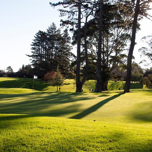 尼尔森高尔夫俱乐部 Nelson Golf Club | 尼尔森高尔夫球场 | 新西兰高尔夫球场俱乐部 | 南岛 商品图1