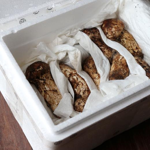 野生稻城松茸 | 合作生产 * Daocheng Matsutake | Partner Production 商品图3