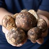 野生稻城松茸 | 合作生产 * Daocheng Matsutake | Partner Production 商品缩略图4