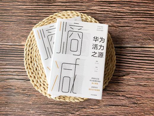 熵减 华为活力之源 华为大学 著 官方授权发布，任正非作序 华为内部培训教材 中信出版社图书 正版书籍 商品图4