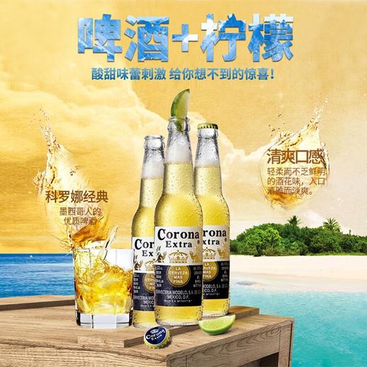 科罗娜 原瓶进口！非国内灌装稀释廉价货！墨西哥啤酒 330ML【6瓶套装】JPY带授权招加盟代理 商品图1