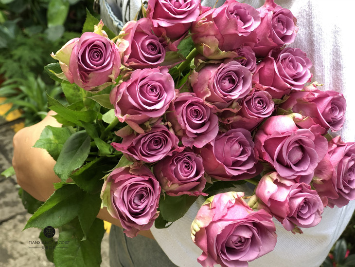 同城配送单品彩玫199元10枝提货时间8月11日14日