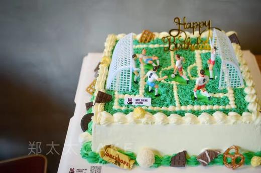 绿茵场标准款 商品图1