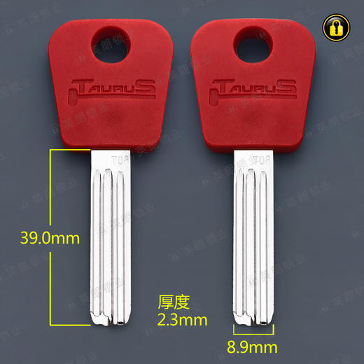 〖B539〗红胶多槽无敌排弹 商品图0