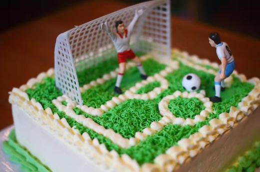 绿茵场标准款 商品图4