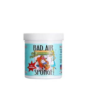 【保税仓】美国Bad Air Sponge白宫用 甲醛装修异味空气净化剂 孕妈适用
