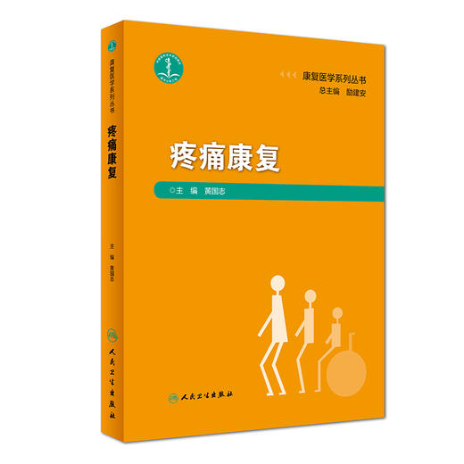 康复医学系列丛书——疼痛康复 商品图0