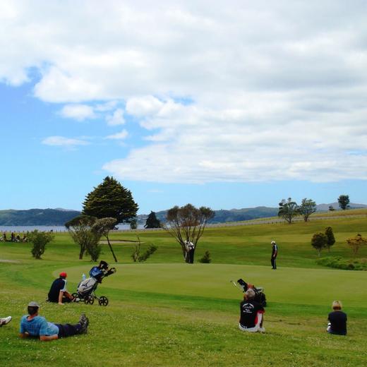 怀唐伊高尔夫俱乐部 Waitangi Golf Club | 凯里凯里高尔夫球场 | 新西兰高尔夫球场俱乐部 | 北岛 商品图4