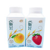 【亚欧超市】伊利畅轻燕麦 芒果 草莓 黄桃 酸奶 250g 商品缩略图1