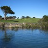 威坦吉高尔夫俱乐部 Waitangi Golf Club | 新西兰高尔夫球场 俱乐部 NZ | 新西兰北岛高尔夫 商品缩略图1