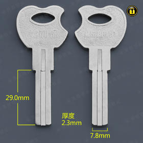 〖5069〗苹果5叶片