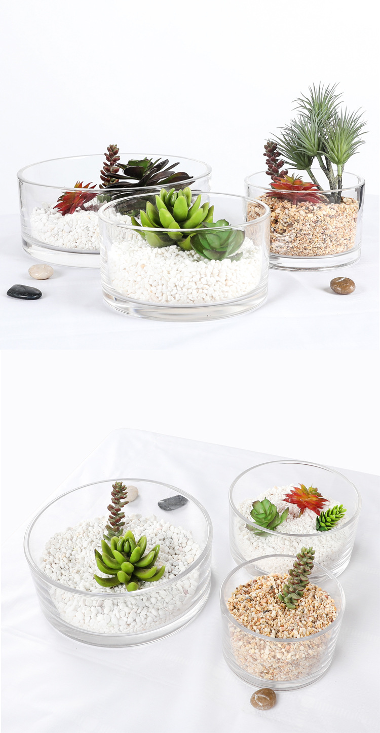 批发价298元全国包邮圆形玻璃花盆大号透明水培绿萝水仙花大容量矮