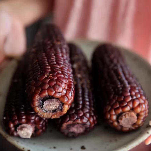 〔产地直发包邮04〕山西甜糯紫玉米 商品图1