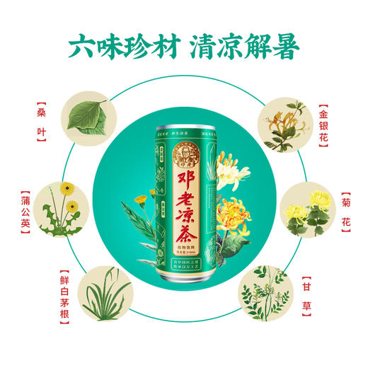 邓老凉茶 植物饮料整箱310ml*12罐/箱 商品图4