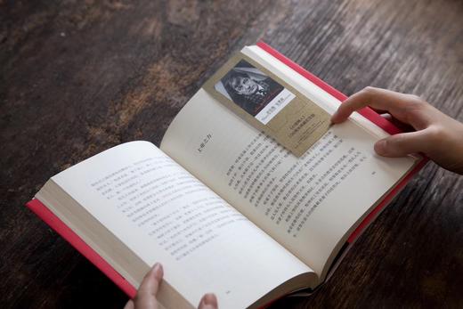 小城畸人（典藏版 舍伍德安德森著 收录22篇文学经小说开创美国现代主义小说新局面 经典短篇小说作品集 商品图4