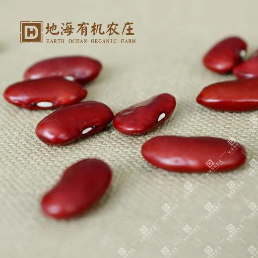 丨有机丨有机红芸豆 地海农场 250g*4盒收到记得冰箱冷藏 商品图4