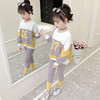 DK-CK19081新款中大童洋气网红休闲儿童运动两件套TZW 商品缩略图2