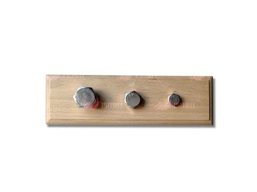 可以拧的教具（学步儿童螺丝练习） 商品图0