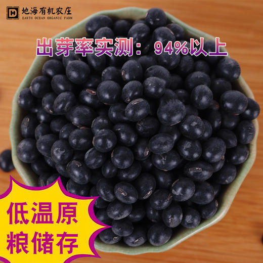 丨有机丨有机青仁黑豆 地海农场 230g*4盒（可生豆芽）收到记得冰箱冷藏 商品图1