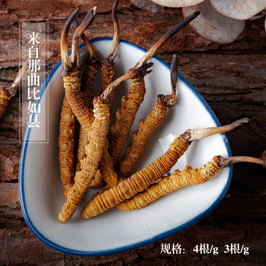 【极盏那曲虫草】 道地品质 西藏那曲头期虫草   2根/g 3根/g 4根/g   5g起 商品图3