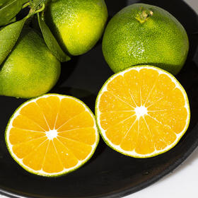 【宜昌蜜桔】青皮橘子无籽蜜桔 皮薄肉脆 滋味酸甜 应季水果新鲜水果 橘子 好吃的桔子