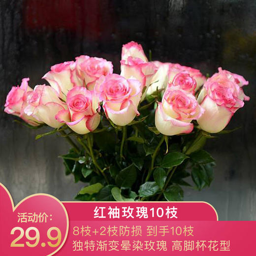 「红袖单头玫瑰」8枝 2枝防损-fx