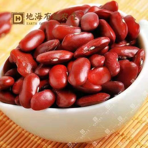 丨有机丨有机红芸豆 地海农场 250g*4盒收到记得冰箱冷藏 商品图1