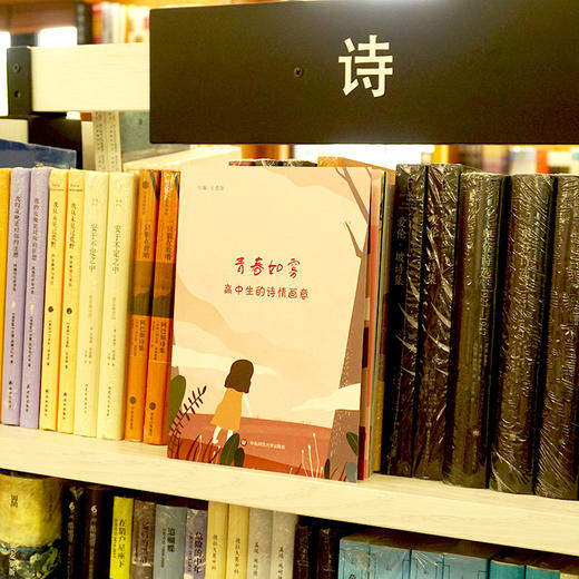 青春如雾 高中生的诗情画意 高中生创作诗歌集结 图文并茂诗画相结合 商品图3