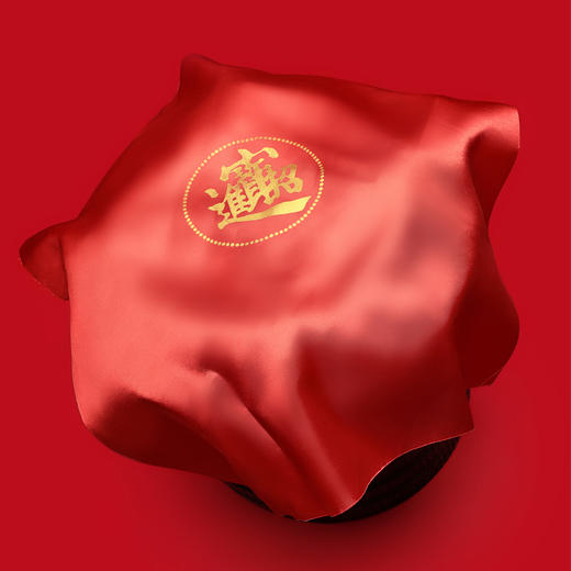 聚宝盆 日进斗金经典款 商品图3