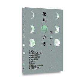 《花儿与少年》梁晓声著