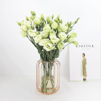 单品丨洋桔梗 商品图2