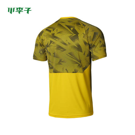 PUMA彪马19-20赛季多特运动训练短袖T恤75576201 商品图1