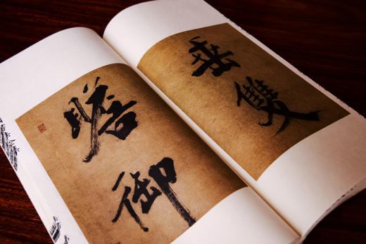 【崇贤宝笈】《中国书法全集》27函164册（不含柜子）限量发行收藏版 商品图10