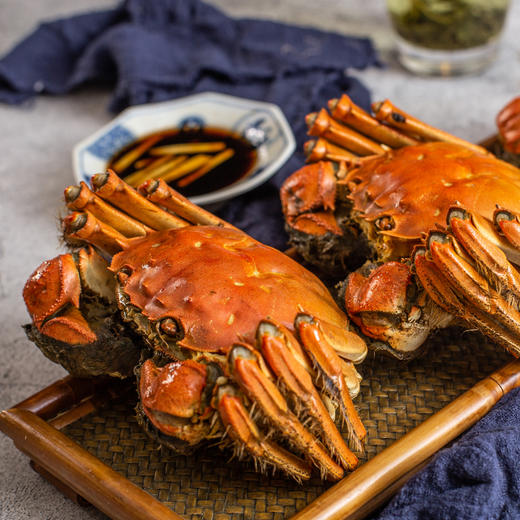 新孟河大闸蟹生鲜礼盒多种规格鲜活现货保证提货率死蟹包赔缺重包赔