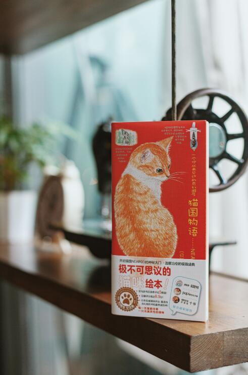 《猫国物语》+《子猫絮语》+《猫城小事》 商品图7