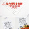 德国哈内姆勒Hahnemuhle中粗纹/粗纹毛边水彩画纸 一包10张 商品缩略图0