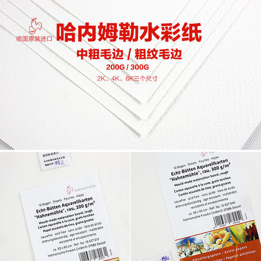 德国哈内姆勒Hahnemuhle中粗纹/粗纹毛边水彩画纸 一包10张 商品图0