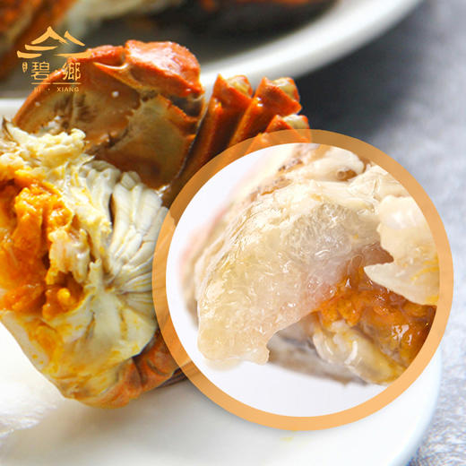 【5对10只】阳澄湖水域正宗大闸蟹 肥美多膏 开湖发货