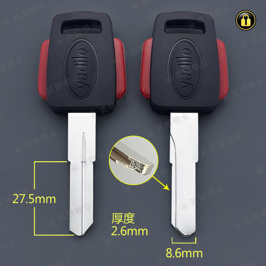 〖1118〗胶双色雅迪诺 商品图0