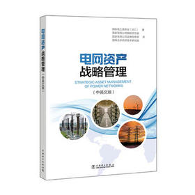 电网资产战略管理（中英文版）