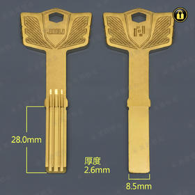 〖B521〗长巨力双排量子